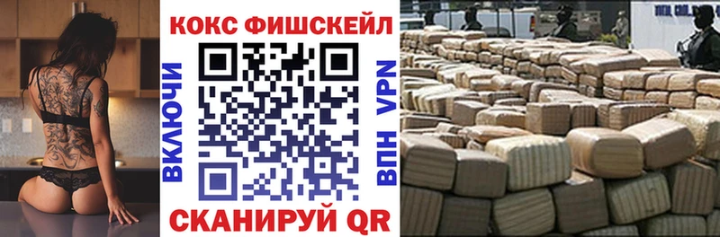 где можно купить   Порхов  Cocaine 99% 