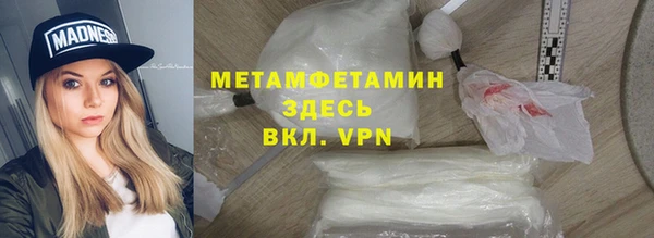 прущие грибы Надым