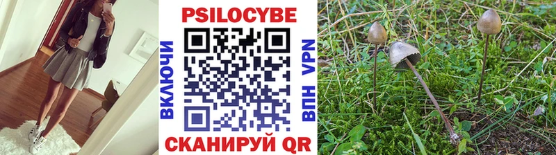 Псилоцибиновые грибы GOLDEN TEACHER  Порхов 